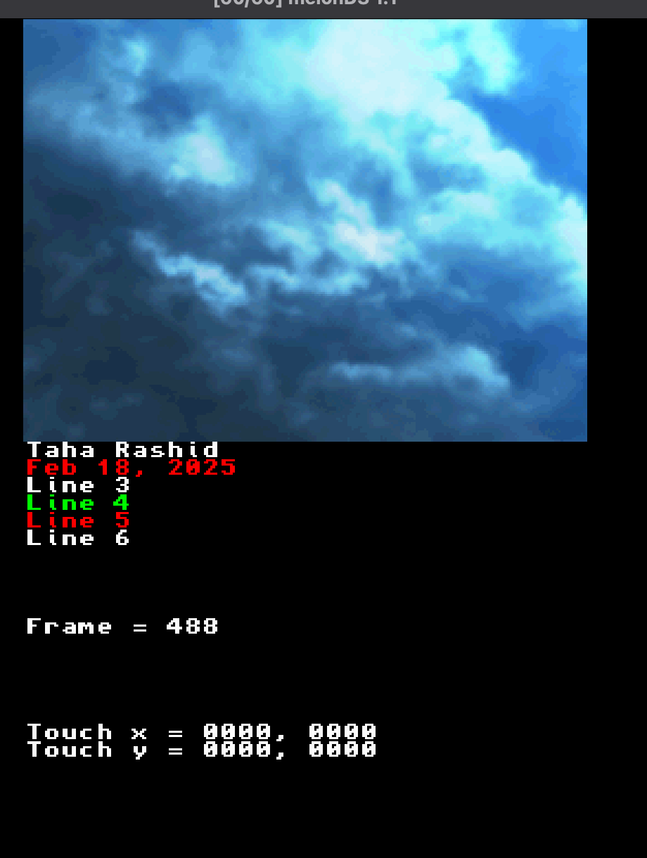screenshot of DS screen