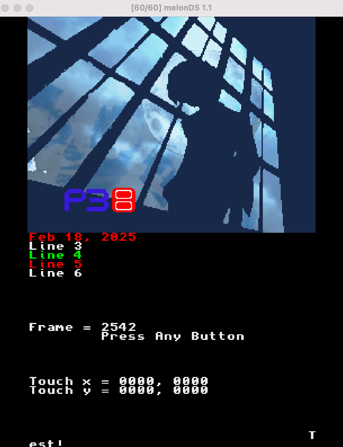 screenshot of DS screen home