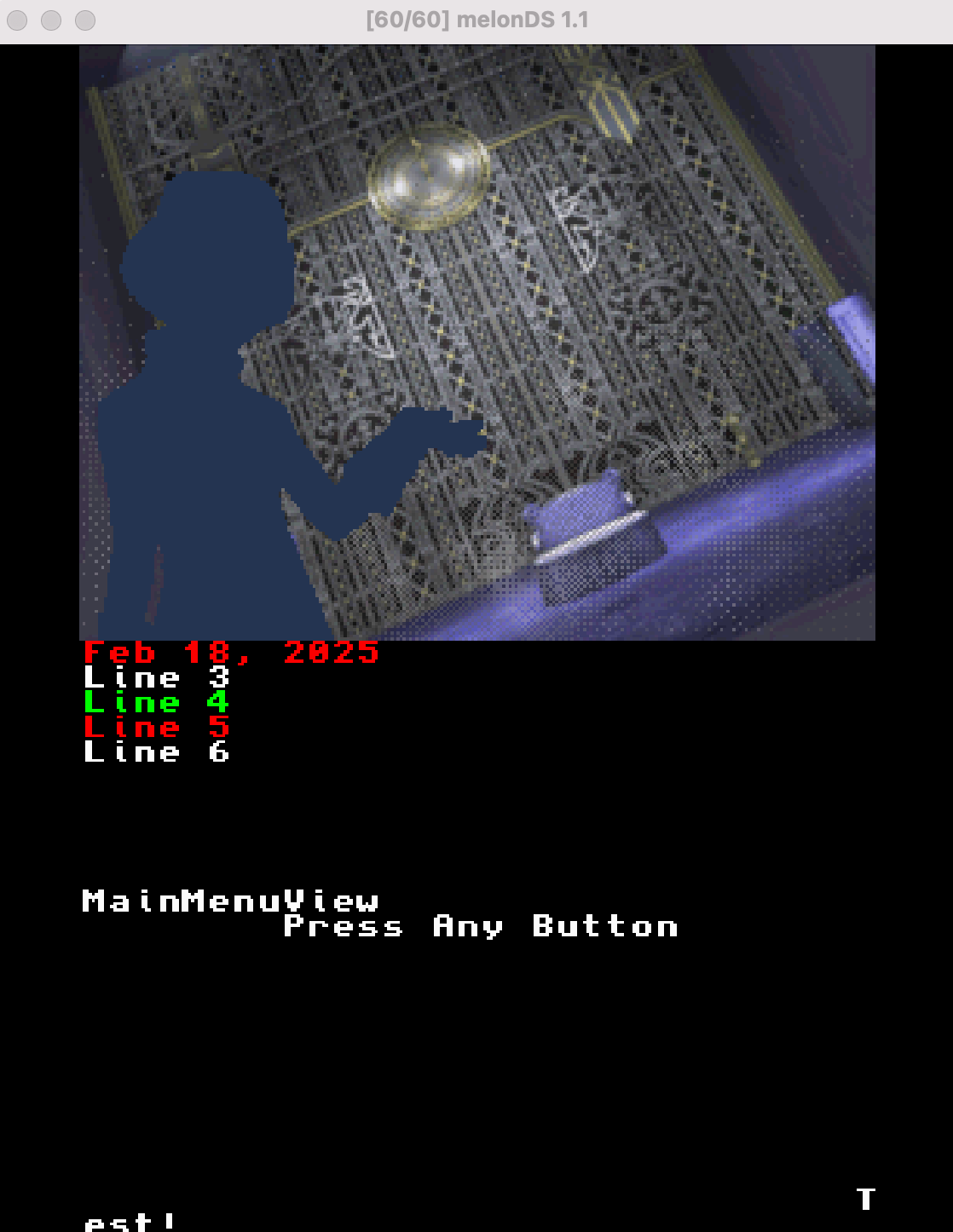 screenshot of DS screen menu