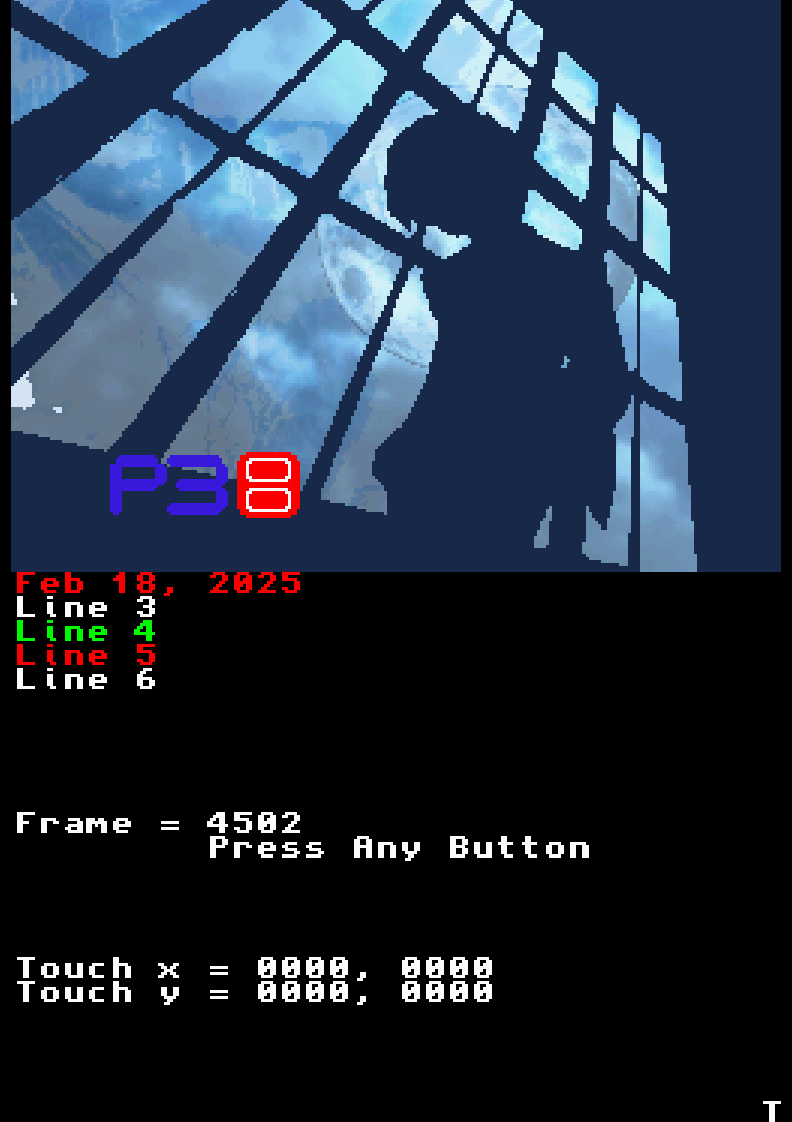 Nintendo DS Game image